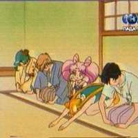   - 104. Tomodachi wo motomete! Chibi Moon no katsuyaku