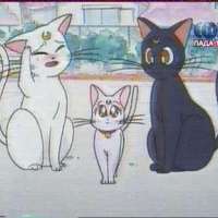  Серии - 133. Artemis no Uwaki? Nazo no Koneko Toujou