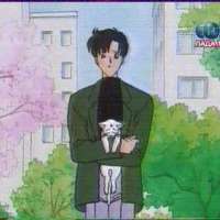  Серии - 133. Artemis no Uwaki? Nazo no Koneko Toujou