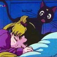  Серии - 036. Usagi konran! Tuxedo Kamen ha aku?