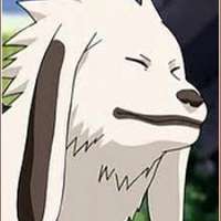 Персонажи Akamaru