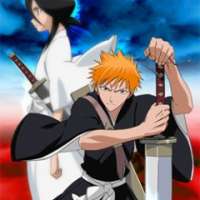   - Bleach