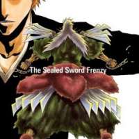   - Bleach - The Sealed Sword Frenzy 