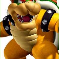  Bowser