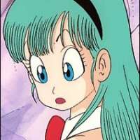  - Briefs Bulma