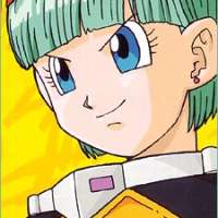  - Briefs Bulma