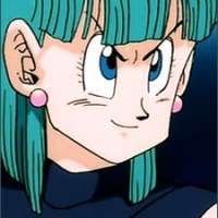  - Briefs Bulma