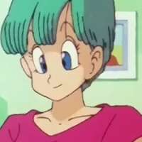  - Briefs Bulma