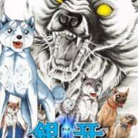   Ginga Nagareboshi Gin