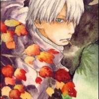  - Ginko