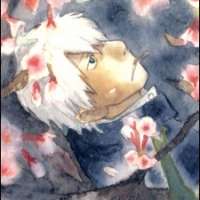  - Ginko