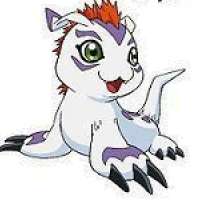  Gomamon