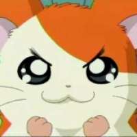  - Hamtaro