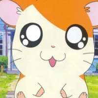  - Hamtaro