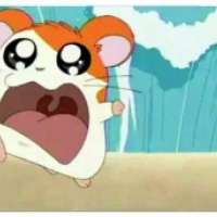  - Hamtaro