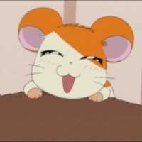  Hamtaro