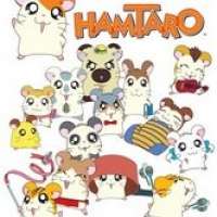   - Hamtaro 