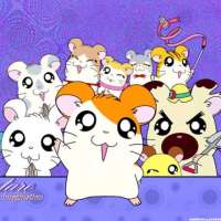   Hamtaro 