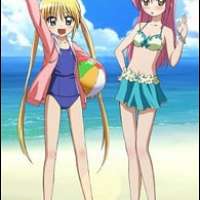   - Hayate the Combat Butler!! OVA 