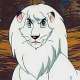   - Jungle Taitei Susume Leo! 