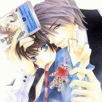   - Junjou Romantica 