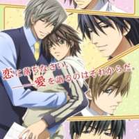   - Junjou Romantica 