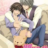   - Junjou Romantica 