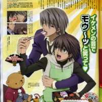   - Junjou Romantica 2 