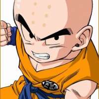  - Krillin