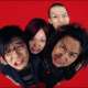   Maximum the Hormone