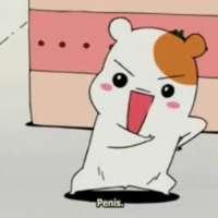   - Oruchuban Ebichu