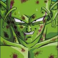  - Piccolo