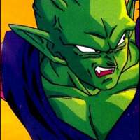  - Piccolo