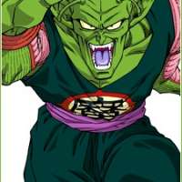  Piccolo Daimao