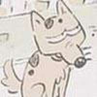  Pochi