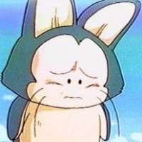  - Puar