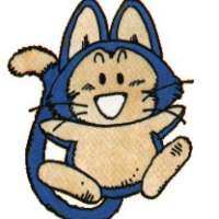  Puar