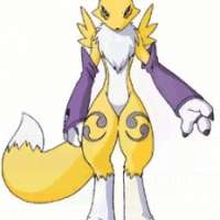  - Renamon