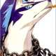  Repede