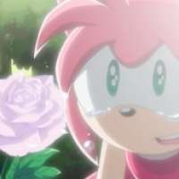  Rose Amy