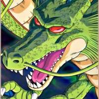  - Shenlong