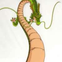  - Shenlong