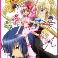   - Shugo Chara!! Doki 