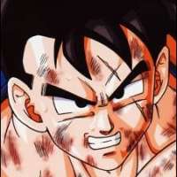  - Son Gohan