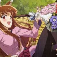   - Spice and Wolf II 