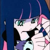  Stocking