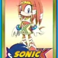  The Echidna Tikal