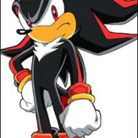  - The Hedgehog Shadow