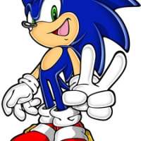  The Hedgehog Sonic