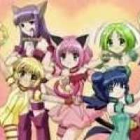   - Tokyo Mew Mew